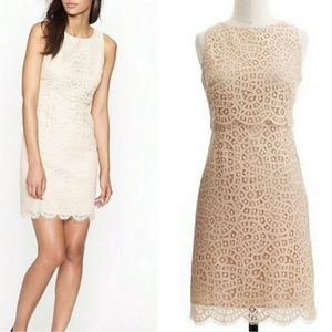 J. CREW Tiered Lace Nude Dress